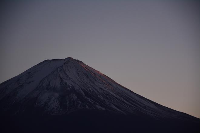 夕陽があたって