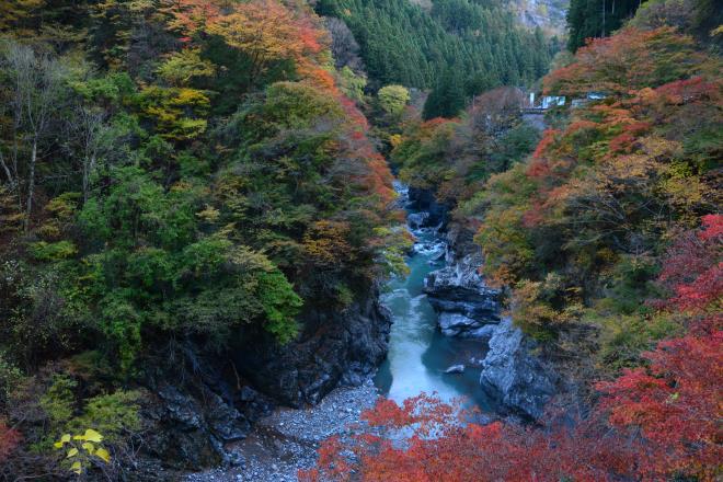 金蔵落しの渓流