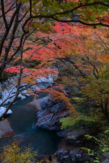 持桶の女郎紅葉