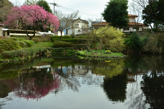 道保川公園