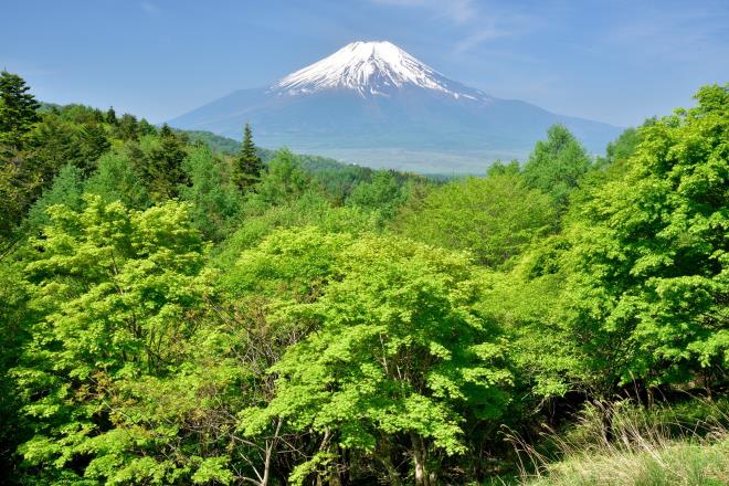 2017.5月 (23)　二十曲峠.JPG