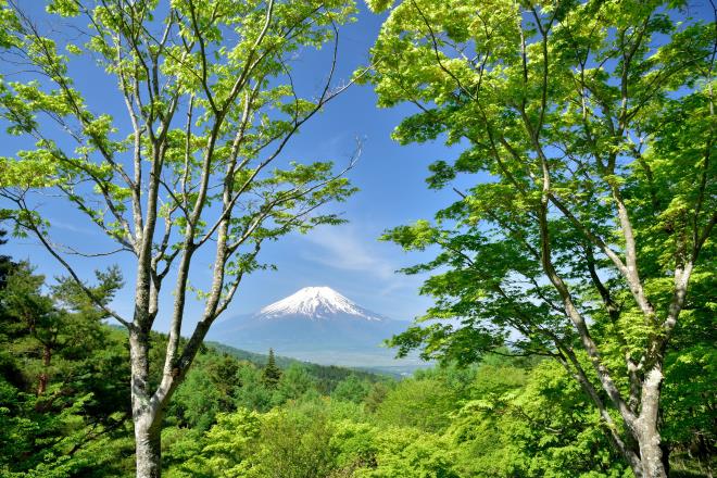 2017.5月 (22)　二十曲峠.JPG