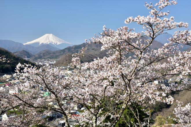 2017.4月 (12)　岩殿山.JPG