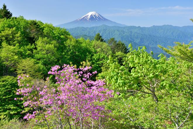 2017.6月 (25)　三窪高原.JPG