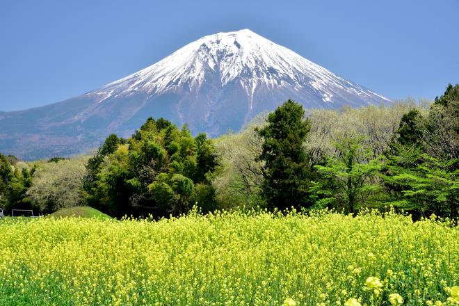 2017.4月 (17)　富士宮上井出.JPG