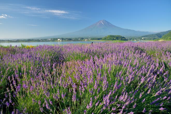 2017.7月 (33)　河口湖.JPG