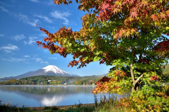 2017.10月 (43)　山中湖.JPG