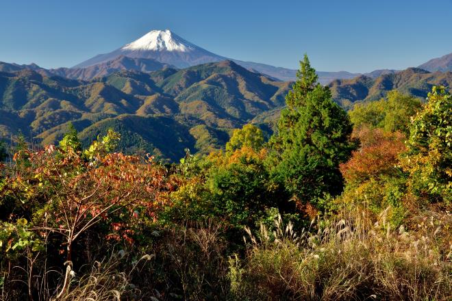 2017.11月 (52)　扇山.JPG