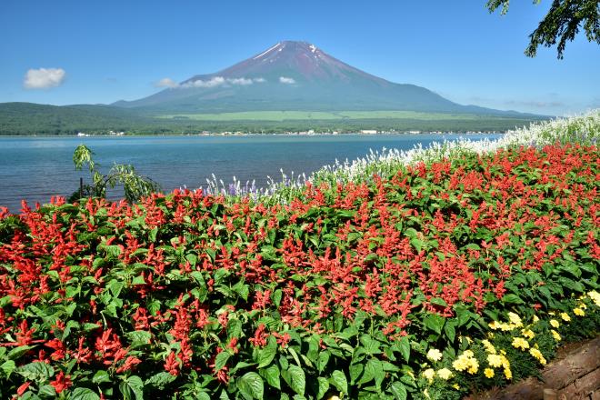 2017.7月 (34)　山中湖.JPG