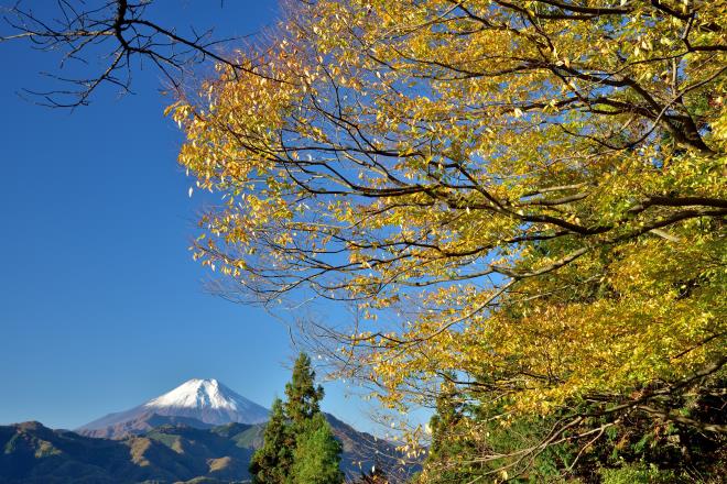 2017.11月 (51)　扇山.JPG