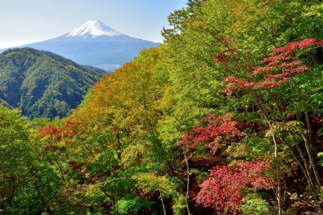 2017.10月 (45)　御坂峠.JPG