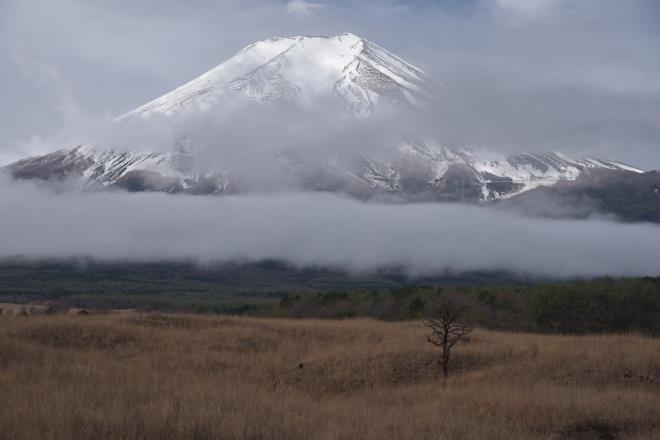 たなびく雲