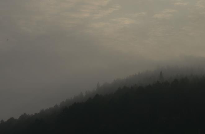 山にかかる朝靄
