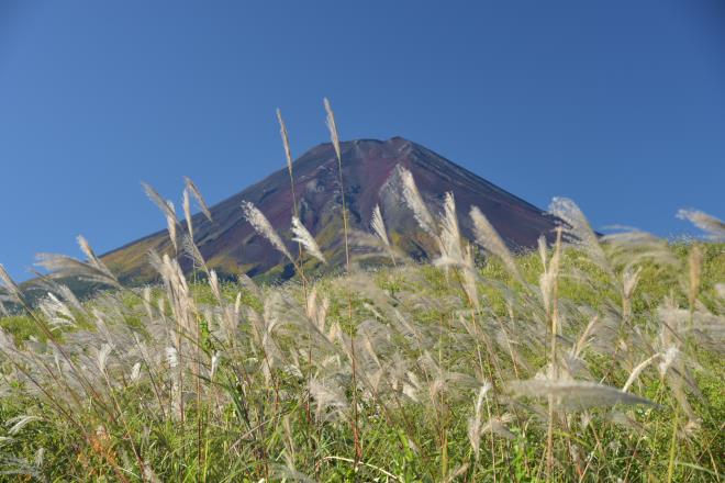 ススキと富士と秋空