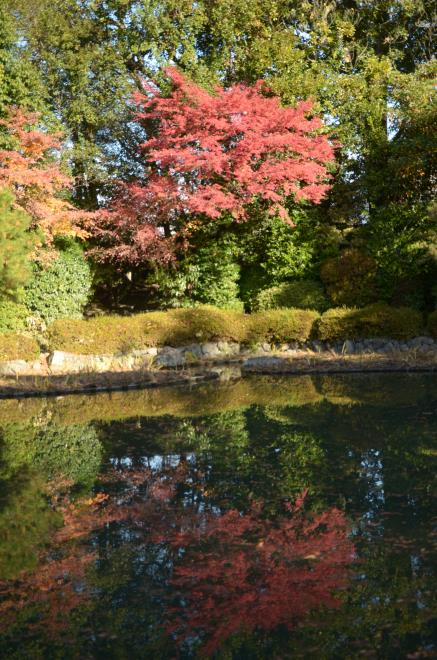 平安神宮庭園２