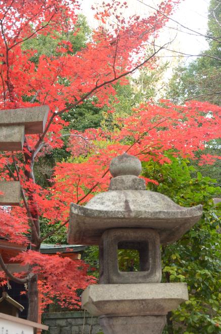 八坂神社１