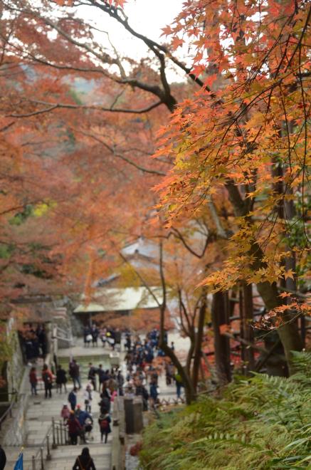 清水寺２