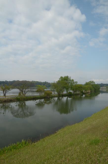 桜川と千波湖
